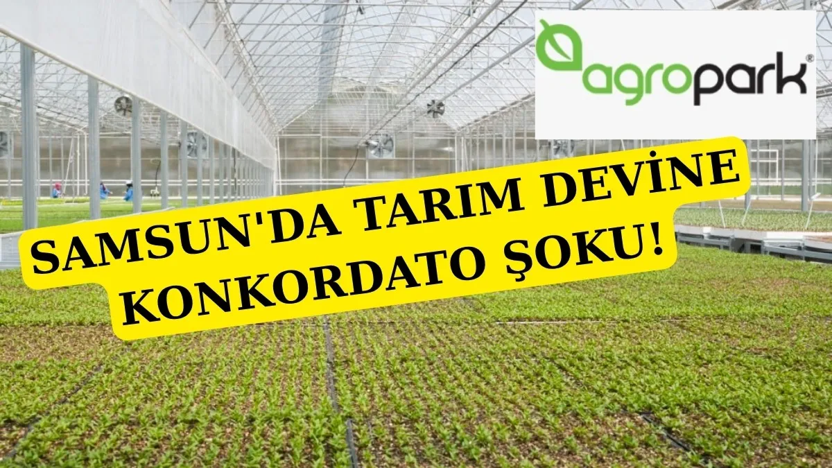 Samsun'da Agropark Tarımsal Pazarlama'ya geçici konkordato mühleti kararı verildi!