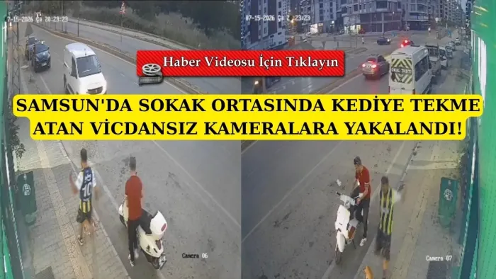 Samsun'da kediyi tekme ile savuran vicdansız kameralara yakalandı