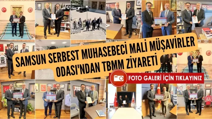 Samsunlu mali müşavirlerden TBMM çıkarması: Mesleğin kronik sorunları Meclis gündemine taşındı
