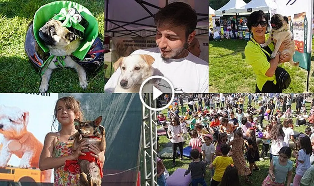 Atakum'da patili dostlara özel festival