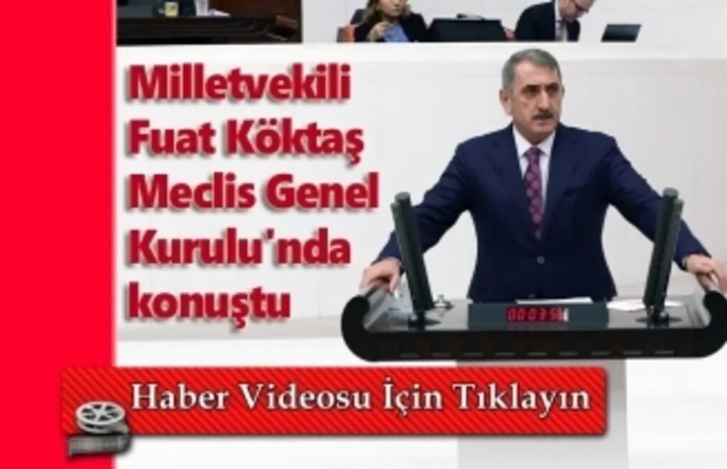 Milletvekili Köktaş Meclis Genel Kurulu'nda konuştu