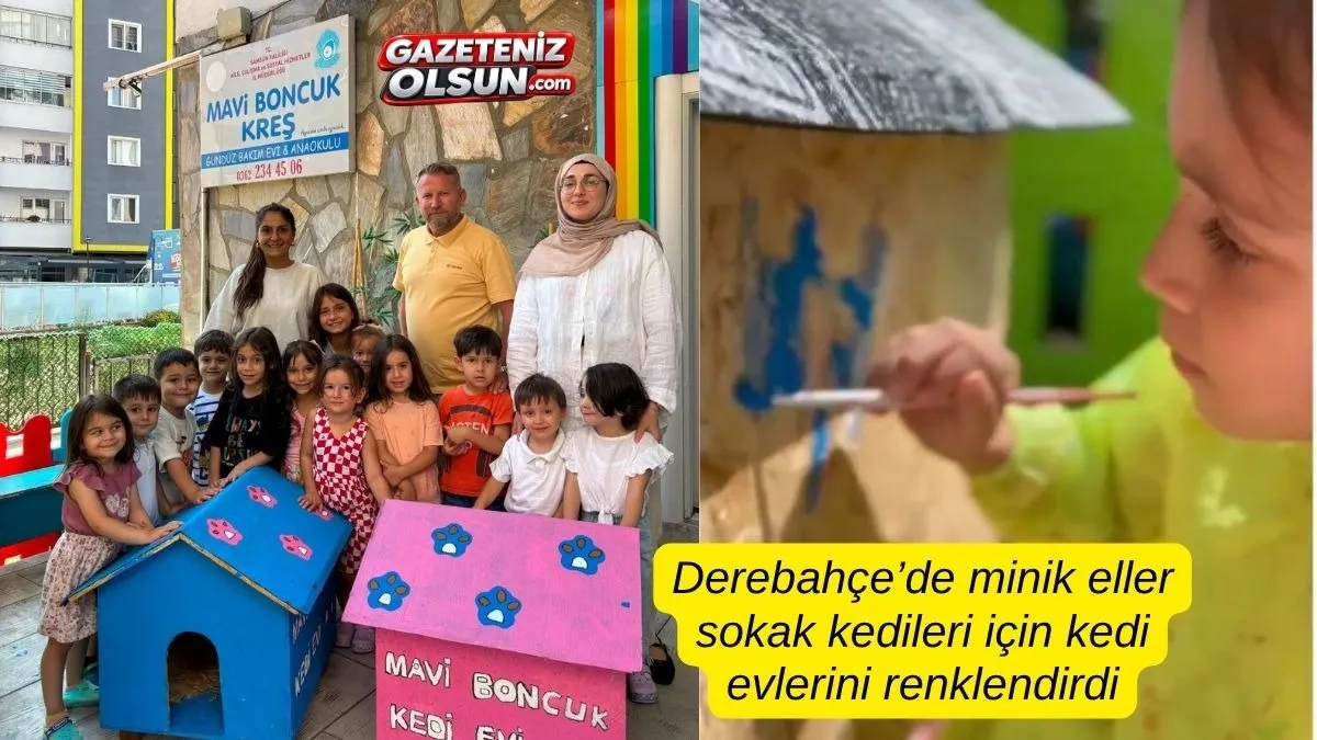 Derebahçe’de minik eller sokak kedileri için kedi evlerini renklendirdi