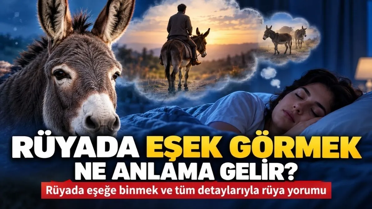 Rüyada Eşek Görmek Ne Anlama Gelir? Rüyada Eşeğe Binmek ve Eşek Görmenin Yorumu