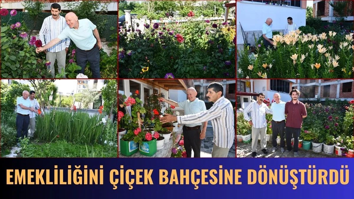 Termeli emekli Recep Fidan'nın çiçek bahçesi görenlerin beğenisini kazanıyor